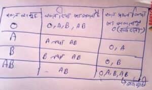 BLOAD GROUP