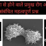 प्रोटोजोआ से होने वाले रोग