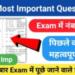 Quiz Of GK in Hindi