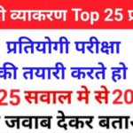 Hindi Grammer Questions