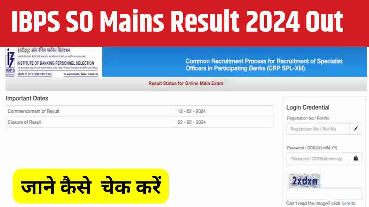 IBPS SO Mains Result 2024 Out
