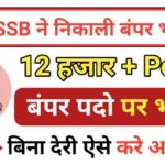 DSSSB RECRUITMENT 2024