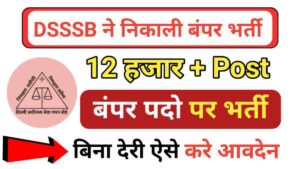 DSSSB RECRUITMENT 2024