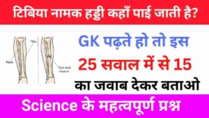 Science Quiz In Hindi