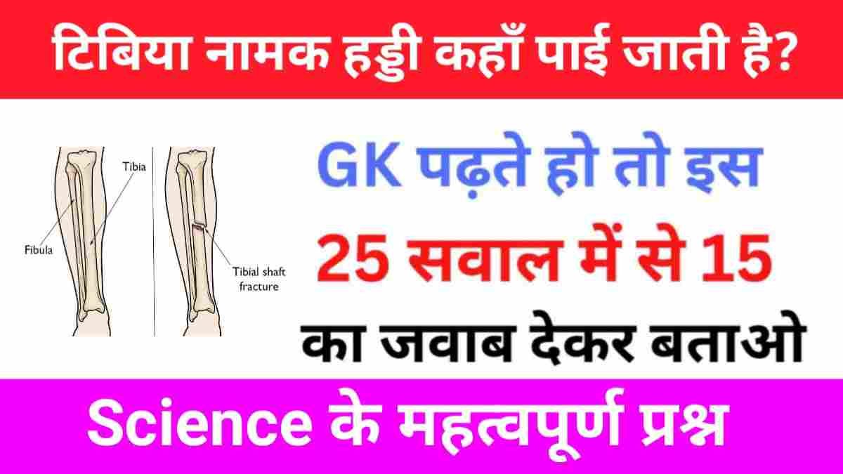 Science Quiz In Hindi