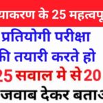 हिंदी व्याकरण के 25+ महत्वपूर्ण प्रश्न