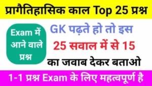 प्रागैतिहासिक काल से संबधित 25+ महत्वपूर्ण प्रश्नो का ऑनलाइन टेस्ट For SSC, RRB, CTET, UPSC, UP POLICE And All Exams