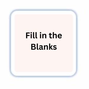 English Grammar Exercises Online Test